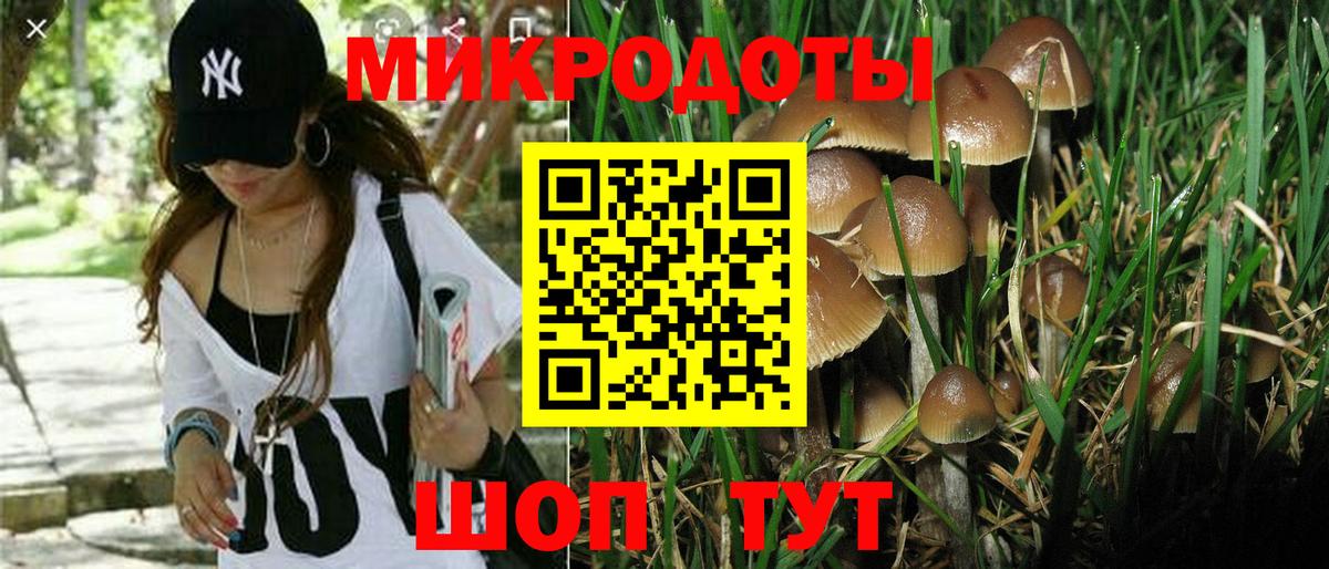 Псилоцибиновые грибы прущие грибы  Вход с VPN  Галлюциногенные грибы мицелий  Кимовск 
