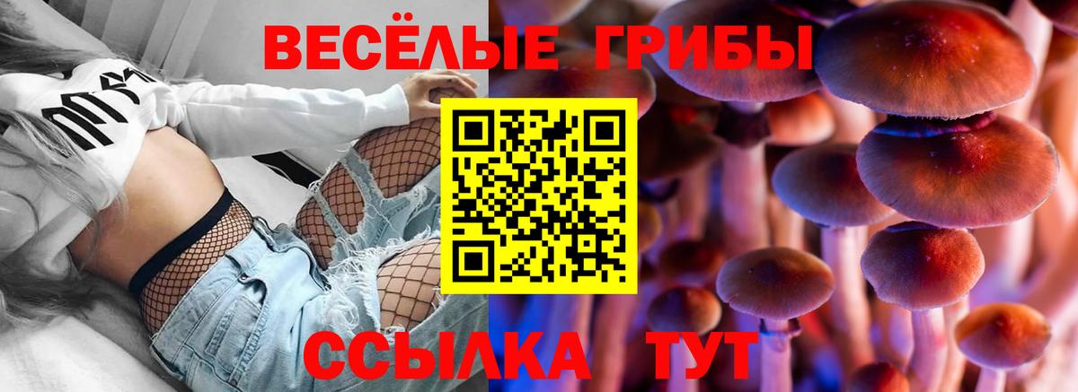 Alpha PVP СК кристаллы  Кимовск  ГАШ  Купить наркотик  Вход с VPN  Меф   Каннабис  MDMA 